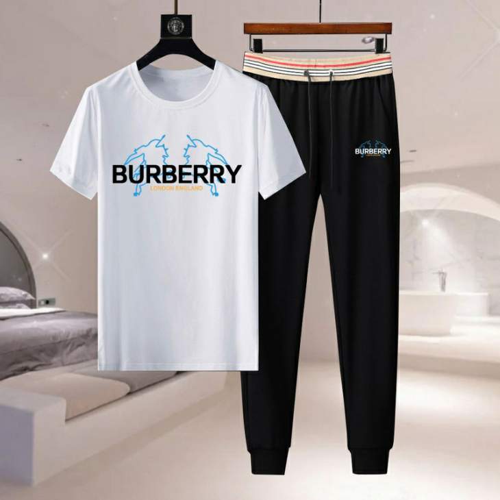 Picture of Burberry Shirt Pant Suits _SKUBurberryM-4XL11Lr0520473